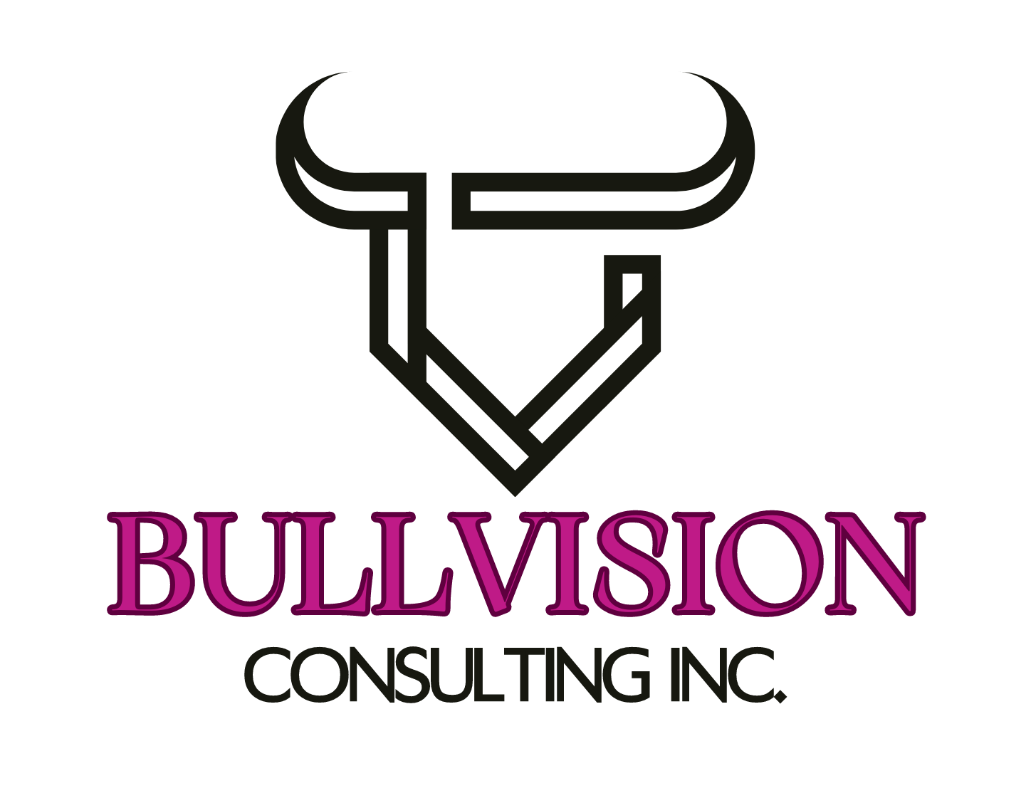 Bullvision Consulting Logo